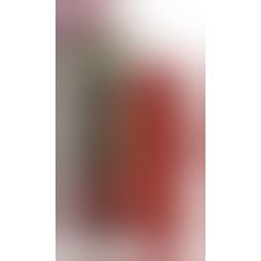 Веревка - 2490048 Rope, red, 10 м