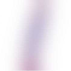 Анальная пробка Anal Starter, 15х2,5 (пурпурный) Анальная пробка Anal Starter, 15х2,5 (пурпурный)