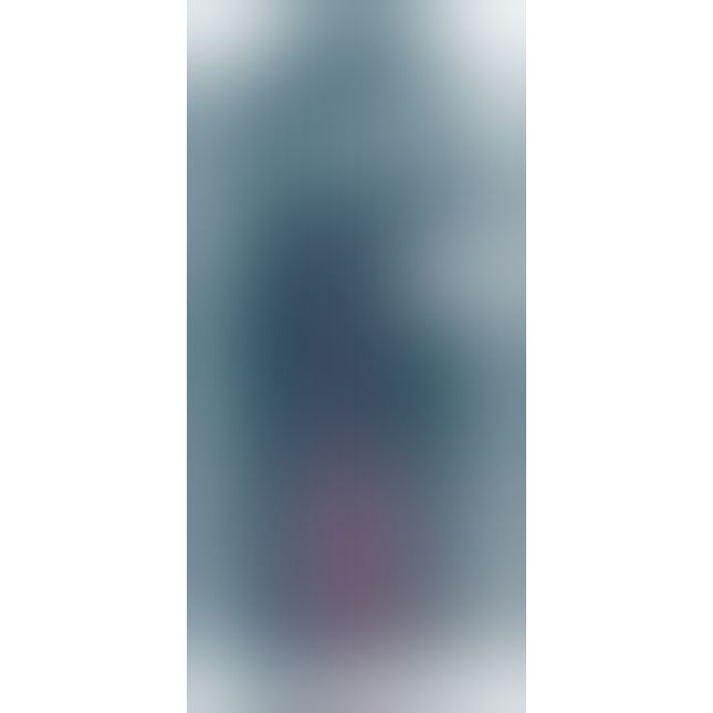 Анальний вібратор - Turbo Shaker Anal Lover