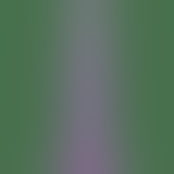 Анальна пробка Jellies Anal Delight, 14х3 см