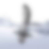 Масажер простати Climaximum Gratus