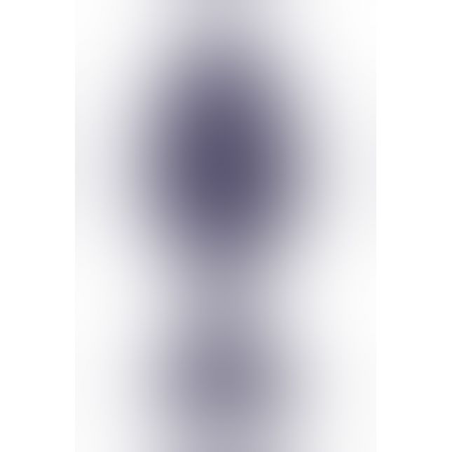 Велика дизайнерська анальна пробка з вібрацією Gplug (Fun Toys)