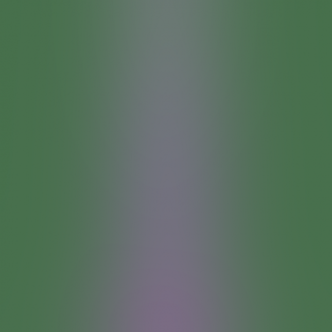 Анальная пробка Jellies Anal Delight, 14х3 см (пурпурный)