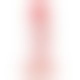 Анальна пробка - The Little Stud Penis Butt Plug