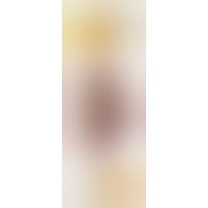Анальний ланцюжок - Anal beads Smoke Анальний ланцюжок - Anal beads Smoke