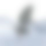 Анальна пробка Climaximum Idosi