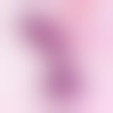 Svakom Julie Violet анальний стимулятор 10.2х2.8 см