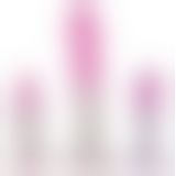 Набір анальних пробок - Crystal Clear Anal Training Set