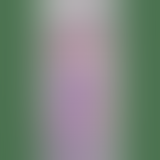 Анальная пробка Crystal Jellies Butt Plug Medium, 13х3,5 см (розовый)