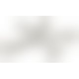 Набір анальних стимуляторів - Crystal Clear Anal Training Set