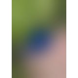 Gvibe Gplug - Маленькая дизайнерская анальная пробка с вибрацией, 8х2.8 см (розовый)