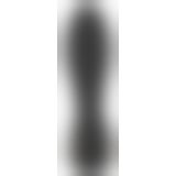 Intense RC Prostate Plug