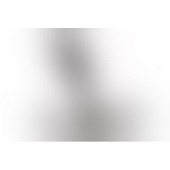 Найдешевший масажер простати Alive Nero для новачків, силікон і пластик, відмінно для старту