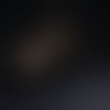 Lelo Earl Gold - золотой универсальный стимулятор (золотой) Lelo Earl Gold - золотой универсальный стимулятор (золотой)