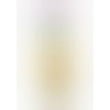 Анальная пробка Anal Starter, 15х2,5 (прозрачный)