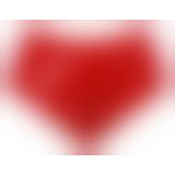 2950324 Late X Latex Briefs - red