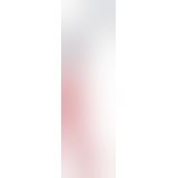 Батіг - 2040271 Leather Whip
