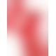 GreyGasms Scarlet Red Satin Sash Set - атласні стрічки для фіксації