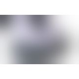 Ручка с двумя присосками Sportsheets Dual Locking Suction Handle Bar для секса в душе