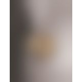 FFS Gold Magnetic Clamps Gold