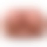 Цепочка на соски Fetish Fantasy Nipple Chain Clips