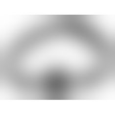 Кляп - 2492660 BK Ball Gag Silicone, black, S/L