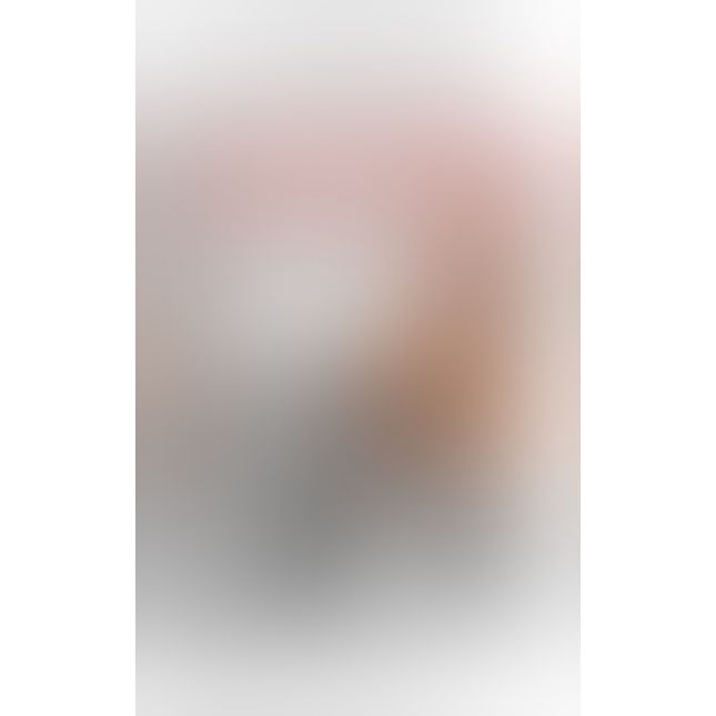 Набір кляпів - FFS Ball Gag Training System