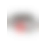 Кляп Fetish Fantasy Beginner`s Ball Gag (черный)
