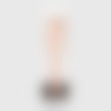 Паддл Liebe Seele Rose Gold Memory Paddle
