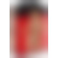 Портупея - 2493381 Bad Kitty Harness