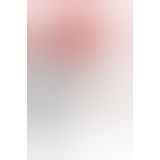 Кляп із подвійним фалоімітатором Fetish Tentation – Double Penis Gag Flesh