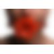 Кляп Master Series Blossom Silicone Rose Gag - Red