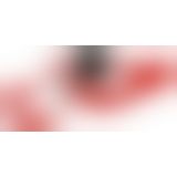 Набір БДСМ - Bad Kitty Bondage Set, 8 предметів