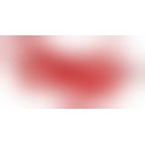 Набір БДСМ - Bad Kitty Bondage Set, 8 предметів