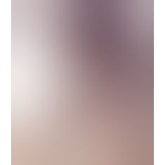 Кляп - LI Knebel Dildo F Кляп - LI Knebel Dildo F