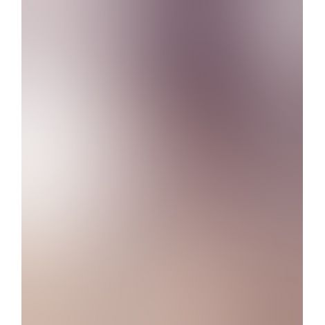 Кляп - LI Knebel Dildo F