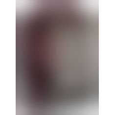 Затиски для сосків - Spring - loaded Nipple Clamps