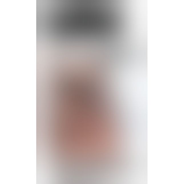 Fetish Fantasy Extreme Extreme Chastity Belt - Silver/Black