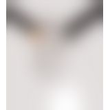 Fetish Fantasy Extreme Extreme Chastity Belt - Silver/Black