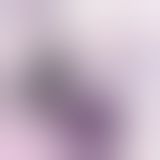Подарунковий набір для BDSM RIANNE S — Kinky Me Softly Purple: 8 предметів для задоволення