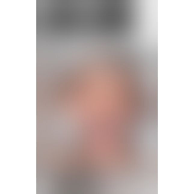 FFE Spider Gag Silver/Black