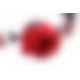 Кляп Master Series Eye-Catching Ball Gag With Rose