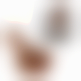 Фалоімітатор - Beautiful Encounter Angelo Dildo Brown