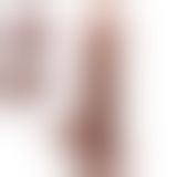 Фалоімітатор - Beautiful Encounter Baron Dildo Latin Фалоімітатор - Beautiful Encounter Baron Dildo Latin