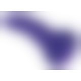 Beasty Cocks Demon of Desire