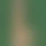 Фалоімітатор Realistic Cock, 19Х4, 5 см