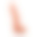 Фалоімітатор з мошонкою - Spread Me No.03 T - Skin Penis