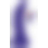 Beasty Cocks Demon of Desire