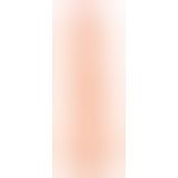 Фаллоимитато з мошонкою - Huge Zone 10 inch