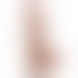 Фалоімітатор - Sliding-Skin Dual Layer Dong 8.5" Brown #2 Фалоімітатор - Sliding-Skin Dual Layer Dong 8.5" Brown #2